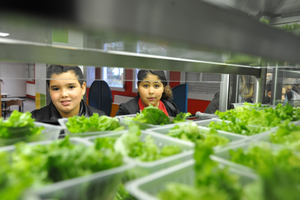 La cantine à un euro : une mesure de justice sociale ou de com’ ?